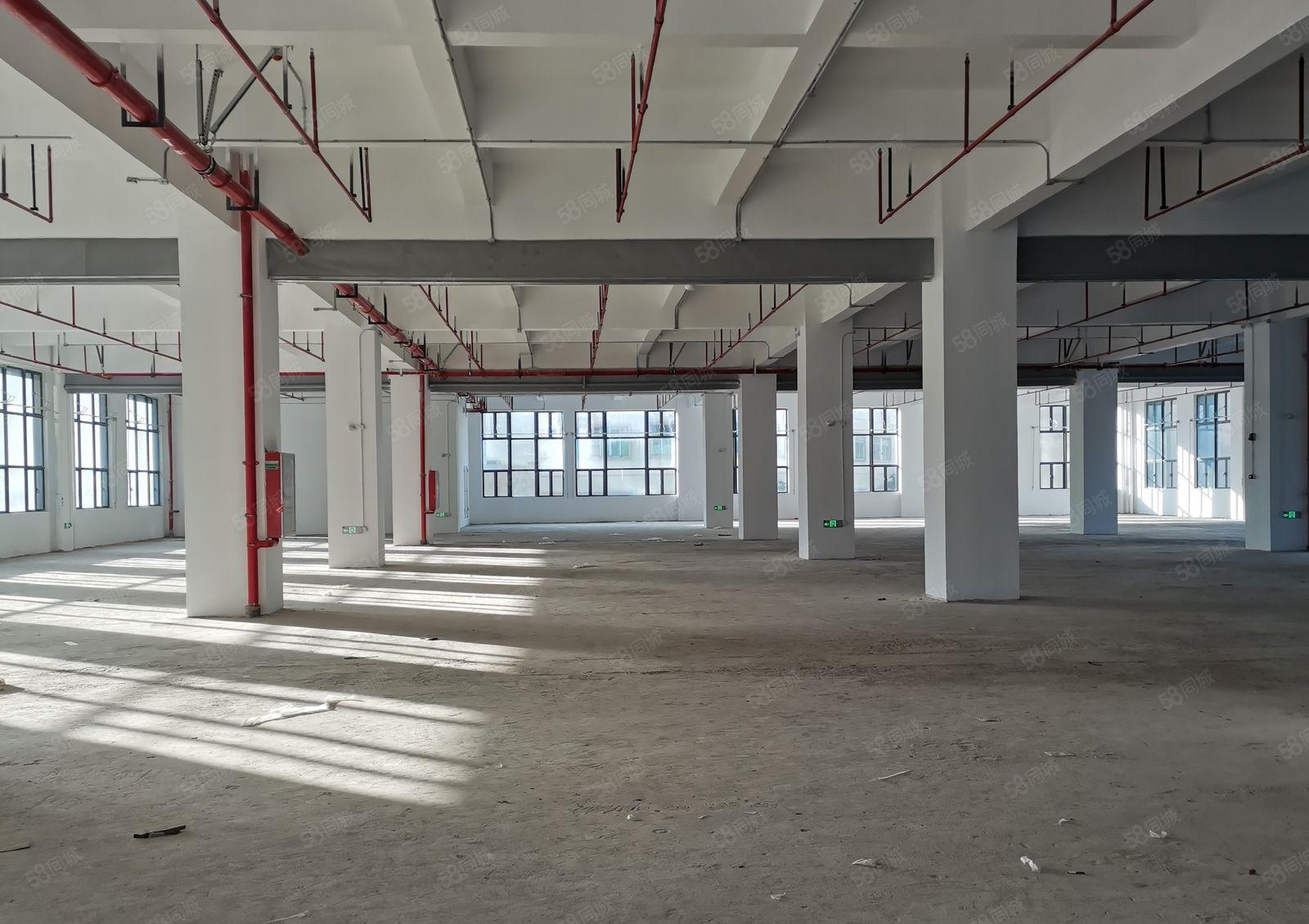 寮步阳极氧化园 带排污水废气环评厂房出租，大小可分寮步厂房出