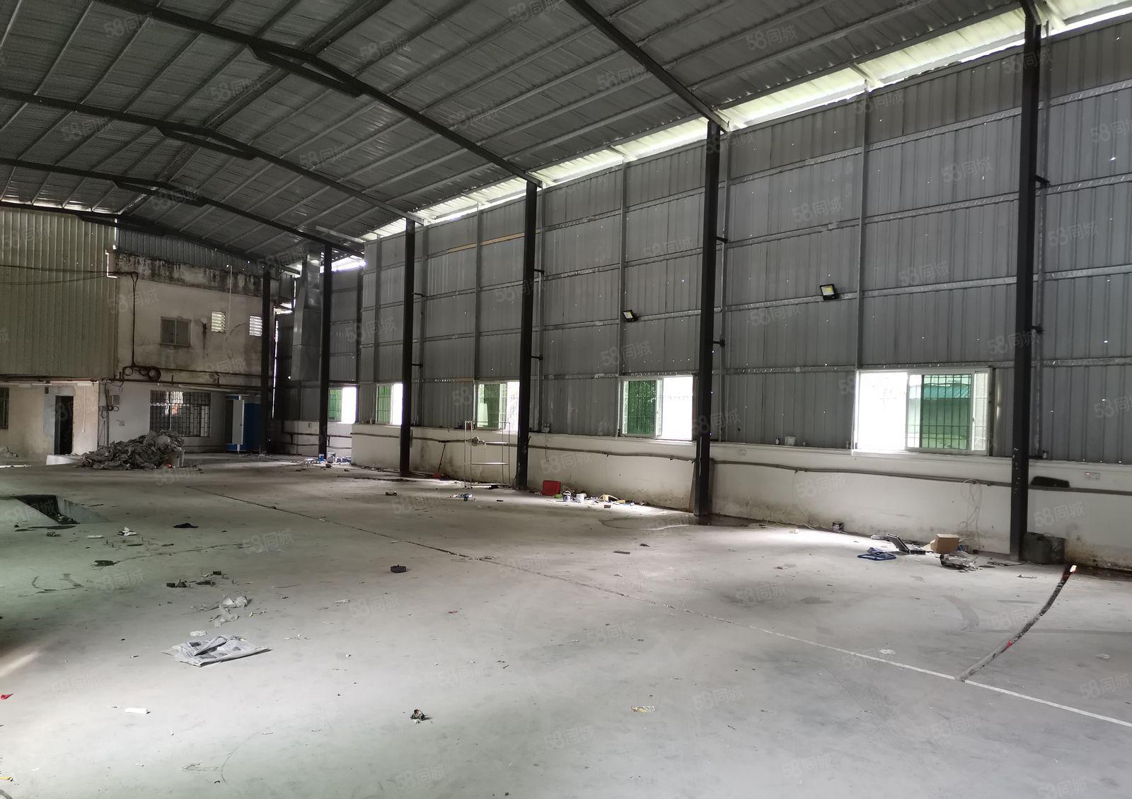 原房东出租独院单一层6米高铁皮房700平方米