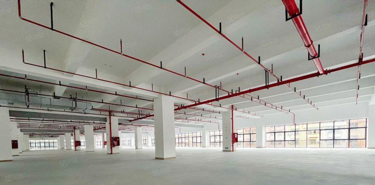 原房东全新高标厂房火爆招商，租金含税可申请政府补贴