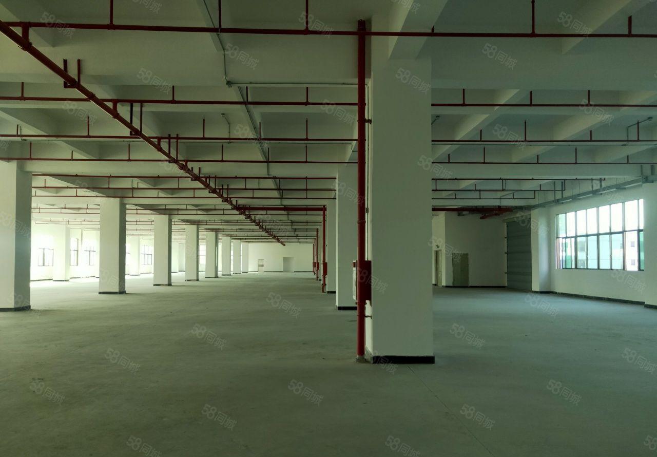 寮镇步原东房国有证双独门院独厂房9万平方招租可分成两套独院