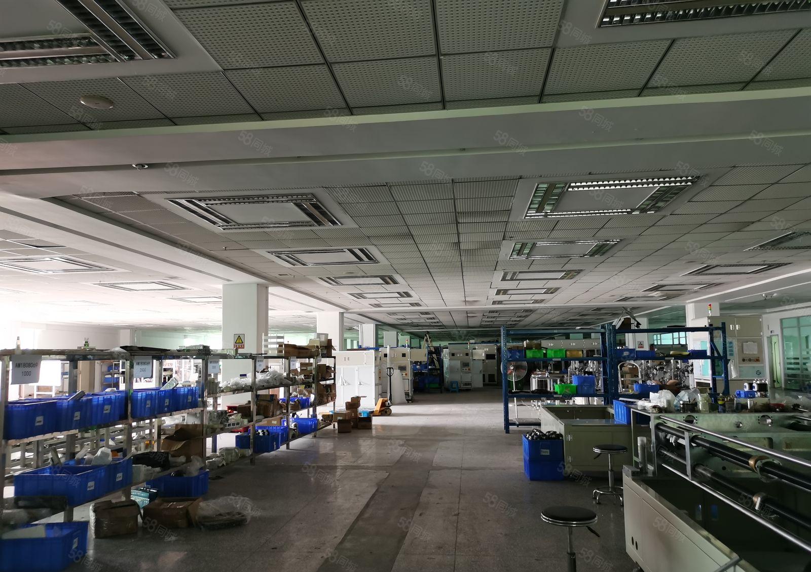 寮步镇靠近松山湖原房红本3.8万独门独院厂房招商