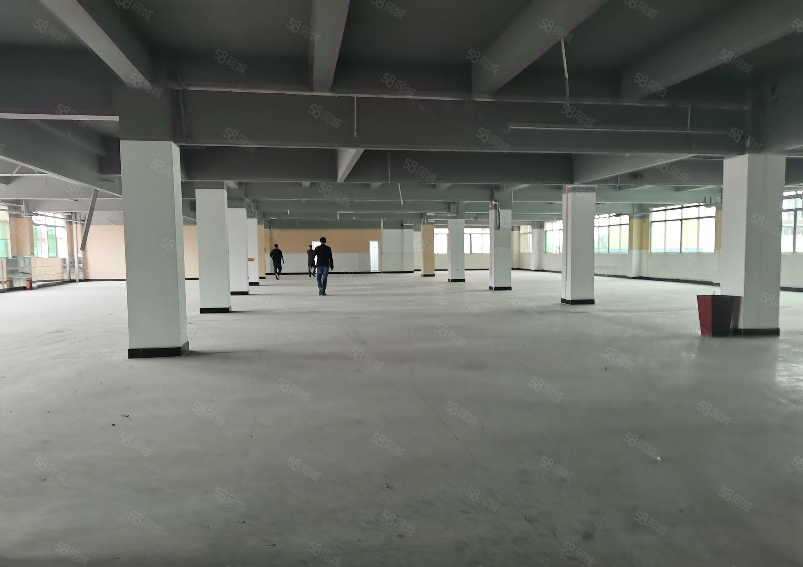 低价厂房出租！寮步富竹山厂房6200平，周围环境干净整洁