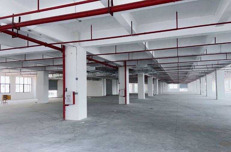 茶山寮步交界独门独院房东直租，全新厂房长度过百