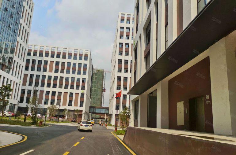 一手业主直租！寒溪河边2610平全新整层厂房出租