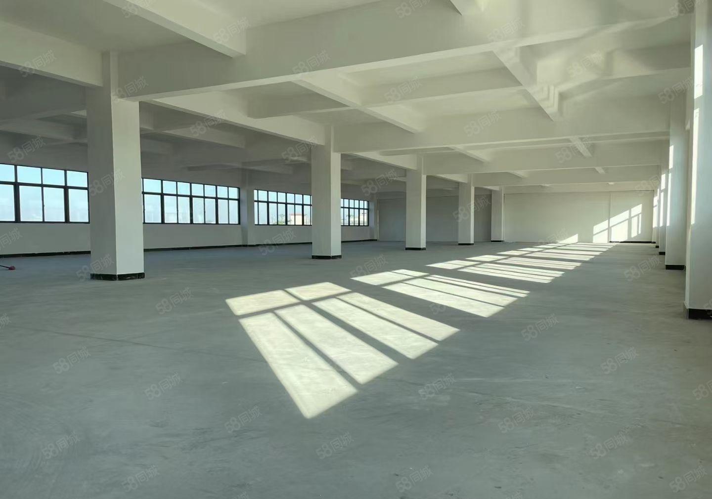 寮步镇华南城工业区新出独院9100平方，大小可以分租