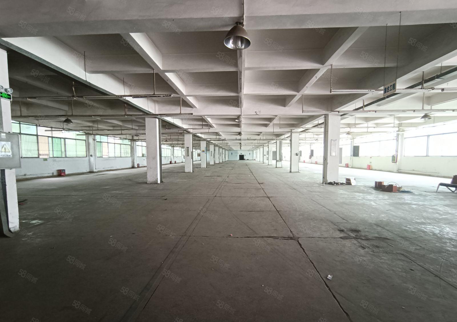 寮步独院厂房出租2860平方，空地大，好招工，价格便宜