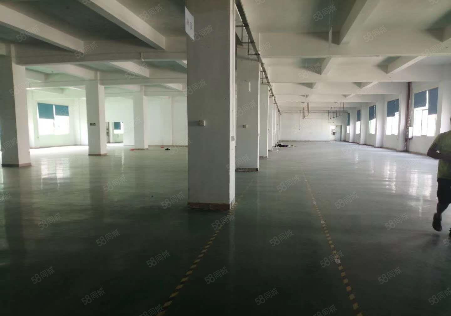 寮步向西原房东厂房1760平，靠近大马路，水电齐全