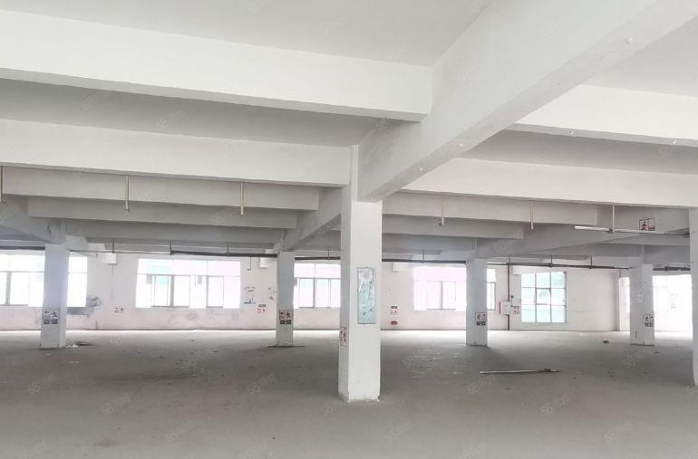 寮步免办环评厂房，随意分租，环评文件齐全，可做污染行业