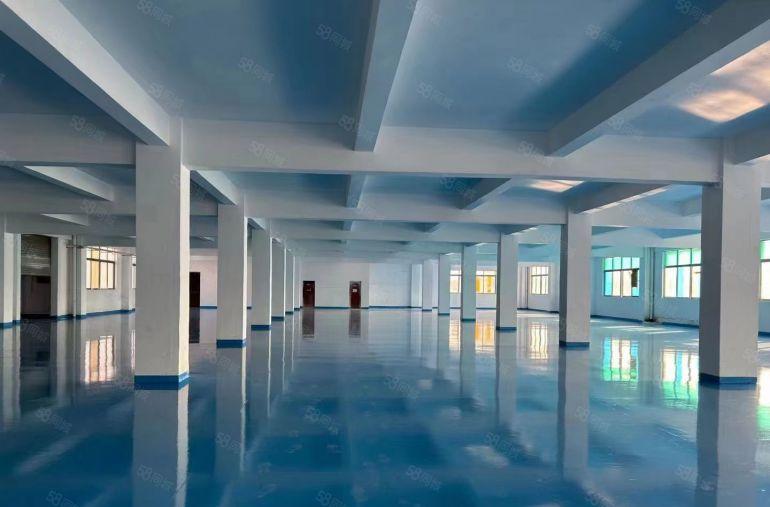 寮步 井巷 原房东 独院厂房 3000平方,九成新