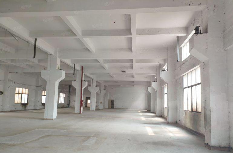 寮步莞樟路附近新出标准独院，出门就有蒸汽管道非常合适食品行业