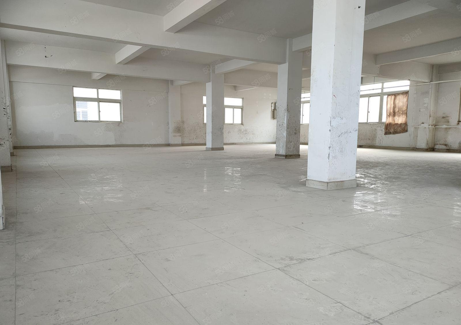 特价寮步上屯标准独栋厂房出租500平方工业用地可办环评不停电