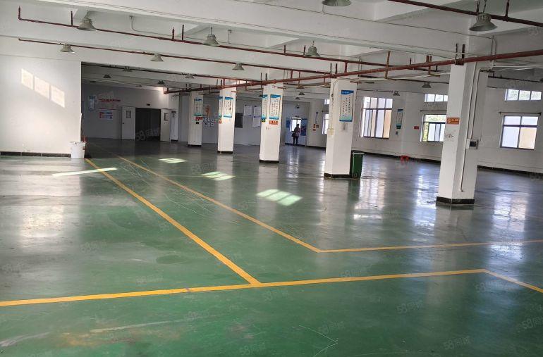 原房东 寮步西溪标准独院二楼1200平方厂房出租.