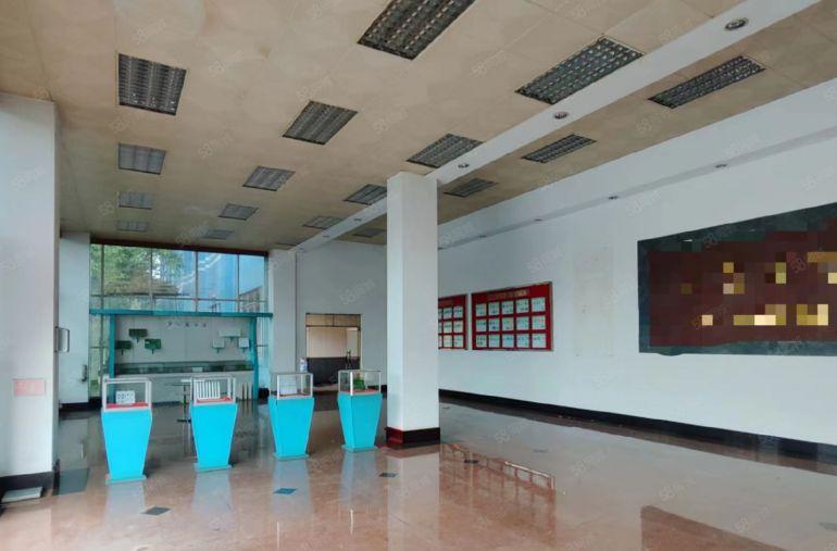 寮步石龙坑原房东18500平方独门独院厂房出租实际面积无公摊