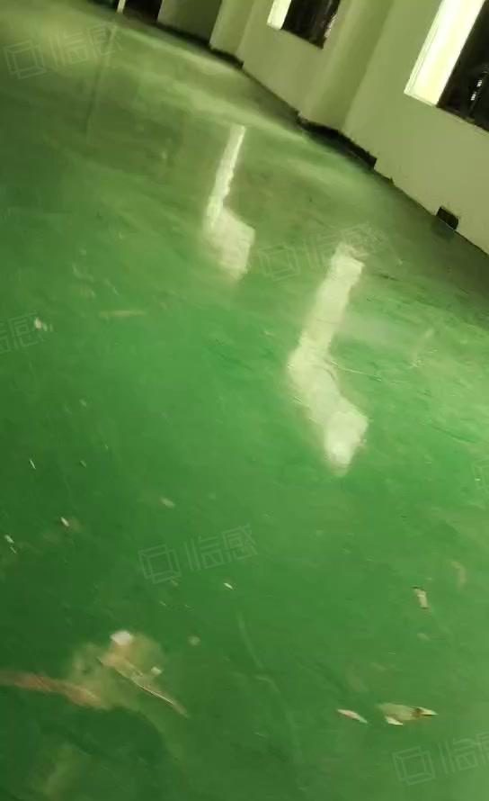 寮步石龙坑原房东标准独院厂房1000平方出租 现成装修.