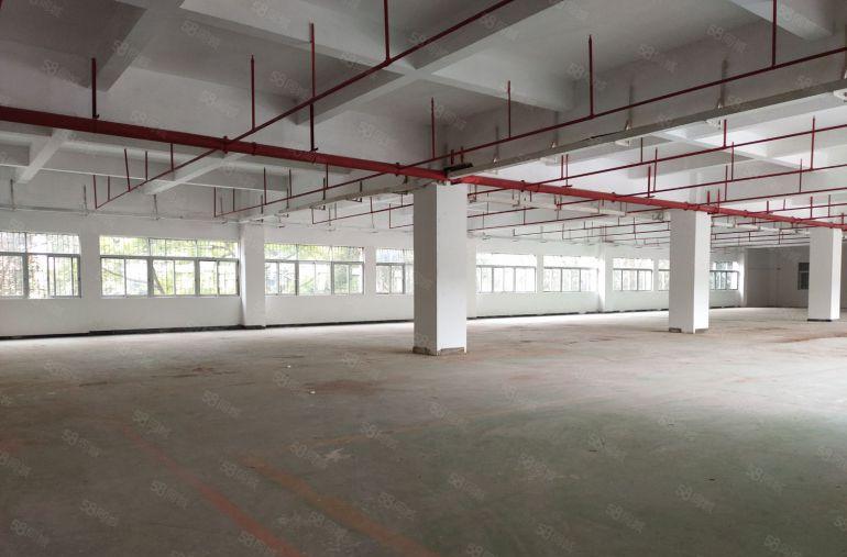 寮步 上底 独院厂房 分租整层2000平方.现成装修