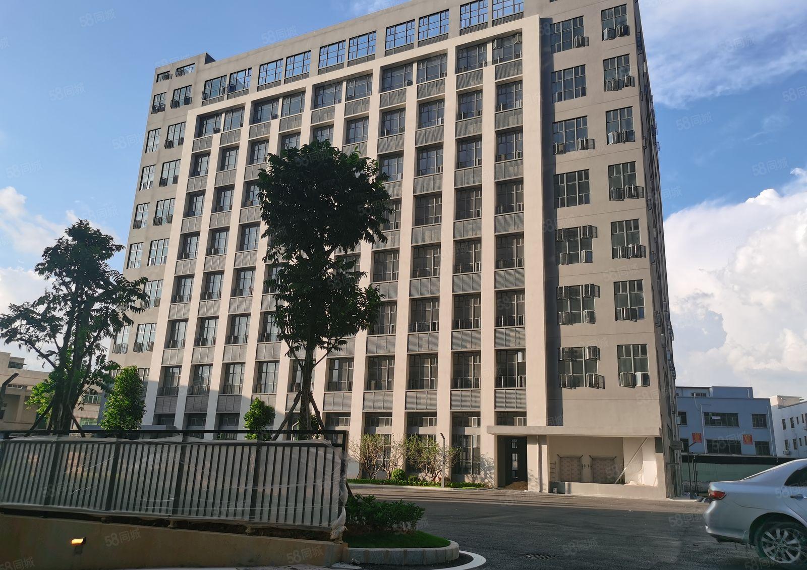 寮步镇原房东阳氧极化电泳基地10万平方招招租