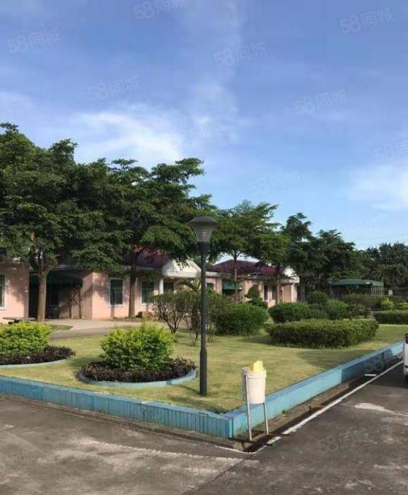 寮步 浮竹山 独院 铁皮 1200平方,环境优美