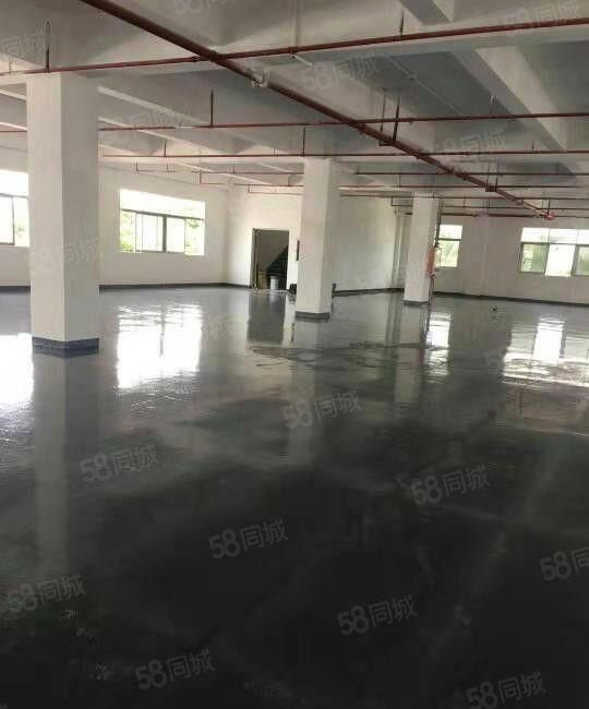 寮步 华南城 高新科技园 二楼 1000平方，带精装修