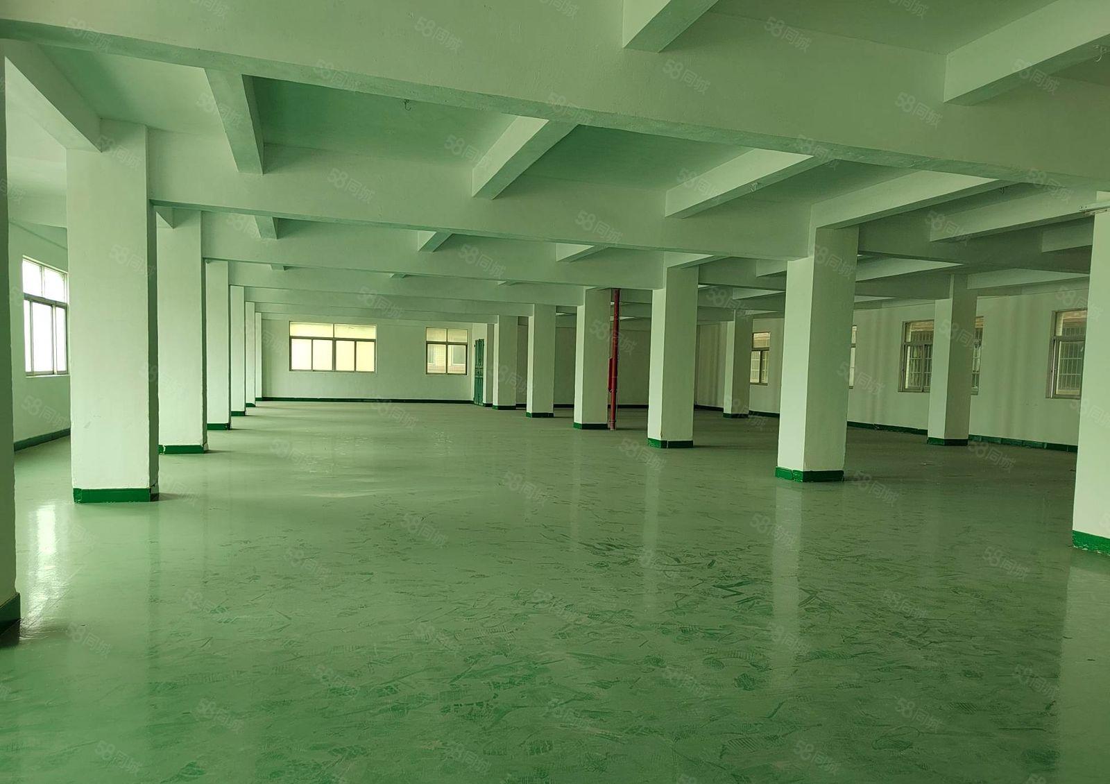 寮步独立工业厂房1到5层  每层850平方 整栋4250平方