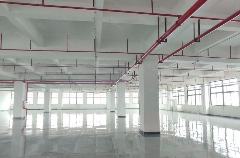 寮步全新园区楼上1950平方厂房出租，现成豪华装修，水电齐全