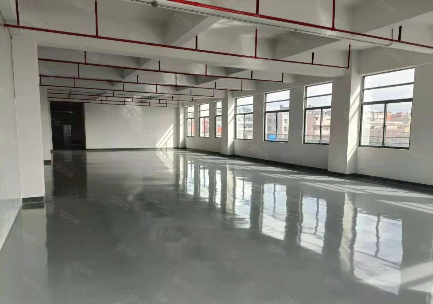 寮步独院厂房万丰智谷带3吨货梯研发厂房出租