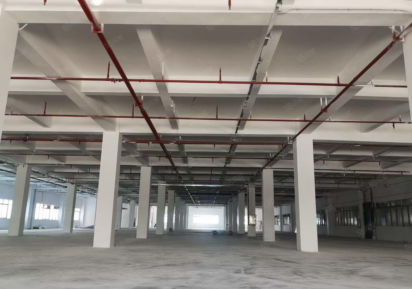 寮步华南城旁独院一楼高7米3000平超低价厂房出租 不限电