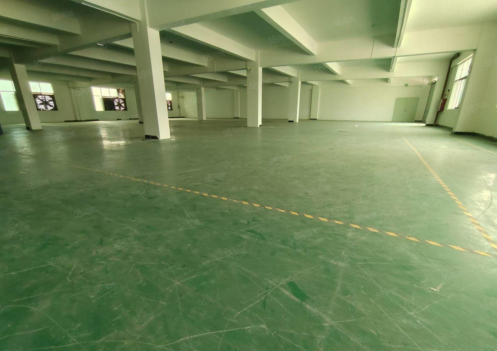 寮步石龙坑原房东标准独院厂房1000平方出租 现成装修.