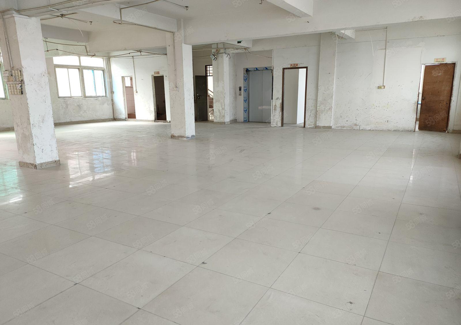 特价寮步上屯标准独栋厂房出租500平方工业用地可办环评不停电