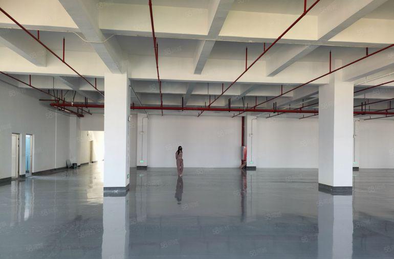 东莞市寮步镇原房东现成装修仓库厂房出租水电齐全，3吨货梯