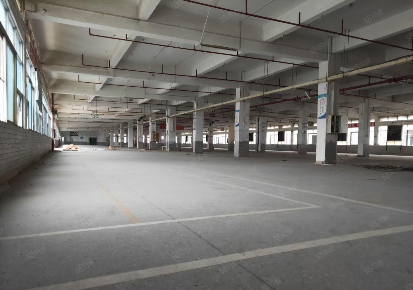 横坑新出形超靓独院标准27500平花园式工厂出租