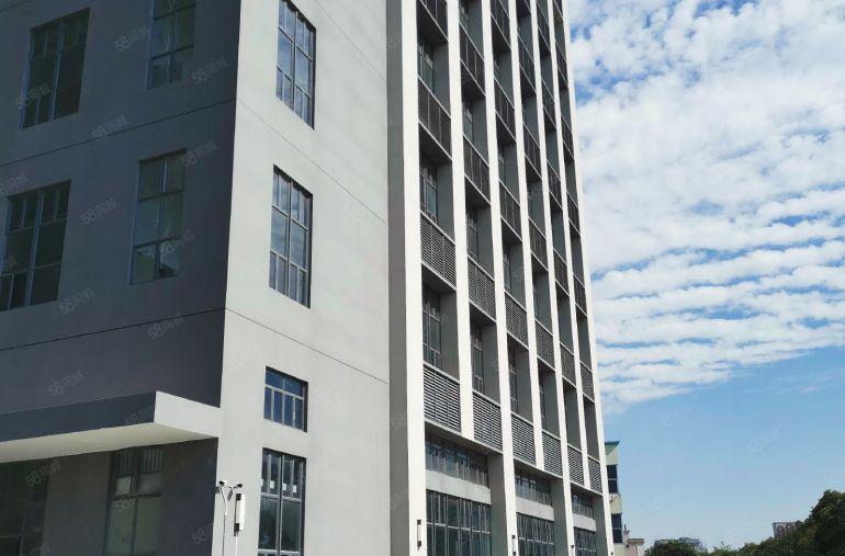 寮步镇新出原房东独门独院红本精装修厂房可分租低价出租