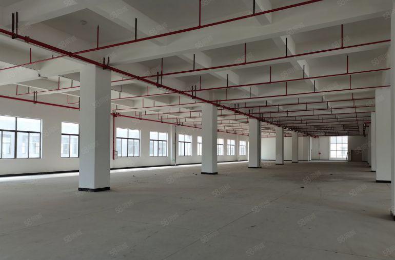 寮步原房东厂房仓库出租一楼楼上分租300平起~6000平独院