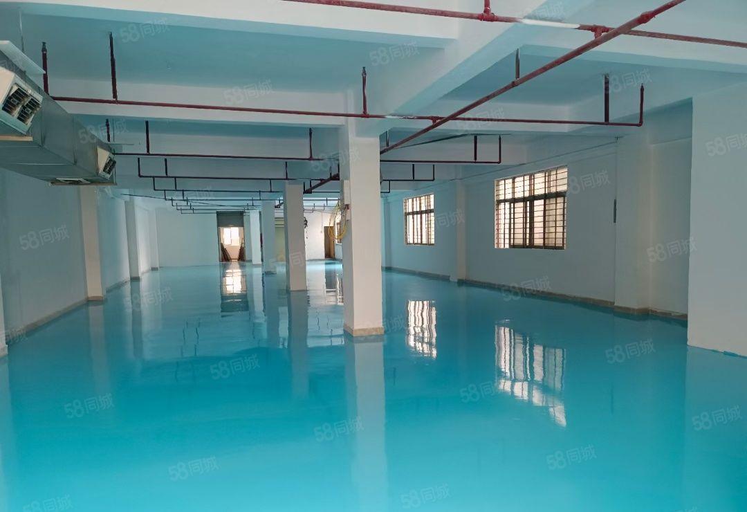 小独院厂房总面积2100方，可进大货柜