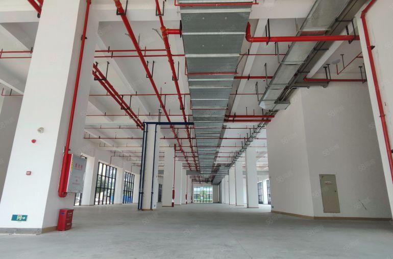 寮步原房东全新33000平方厂房出租，玻璃幕墙，大马路边上