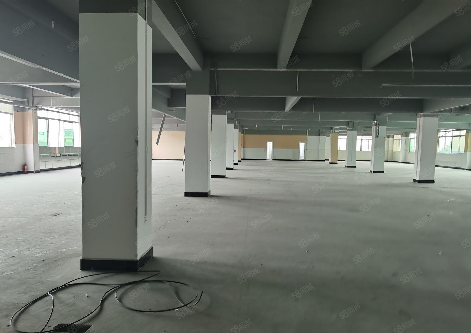 低价厂房出租！寮步富竹山厂房6200平，周围环境干净整洁