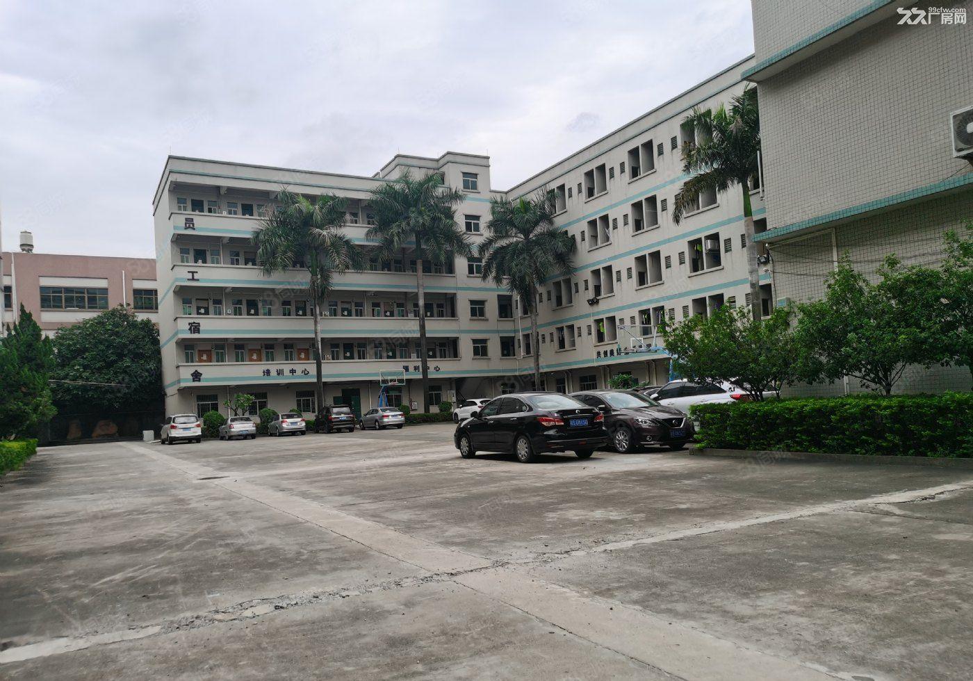 寮步百业电子城花园式带红本1300平厂房出租 超大空地形象佳