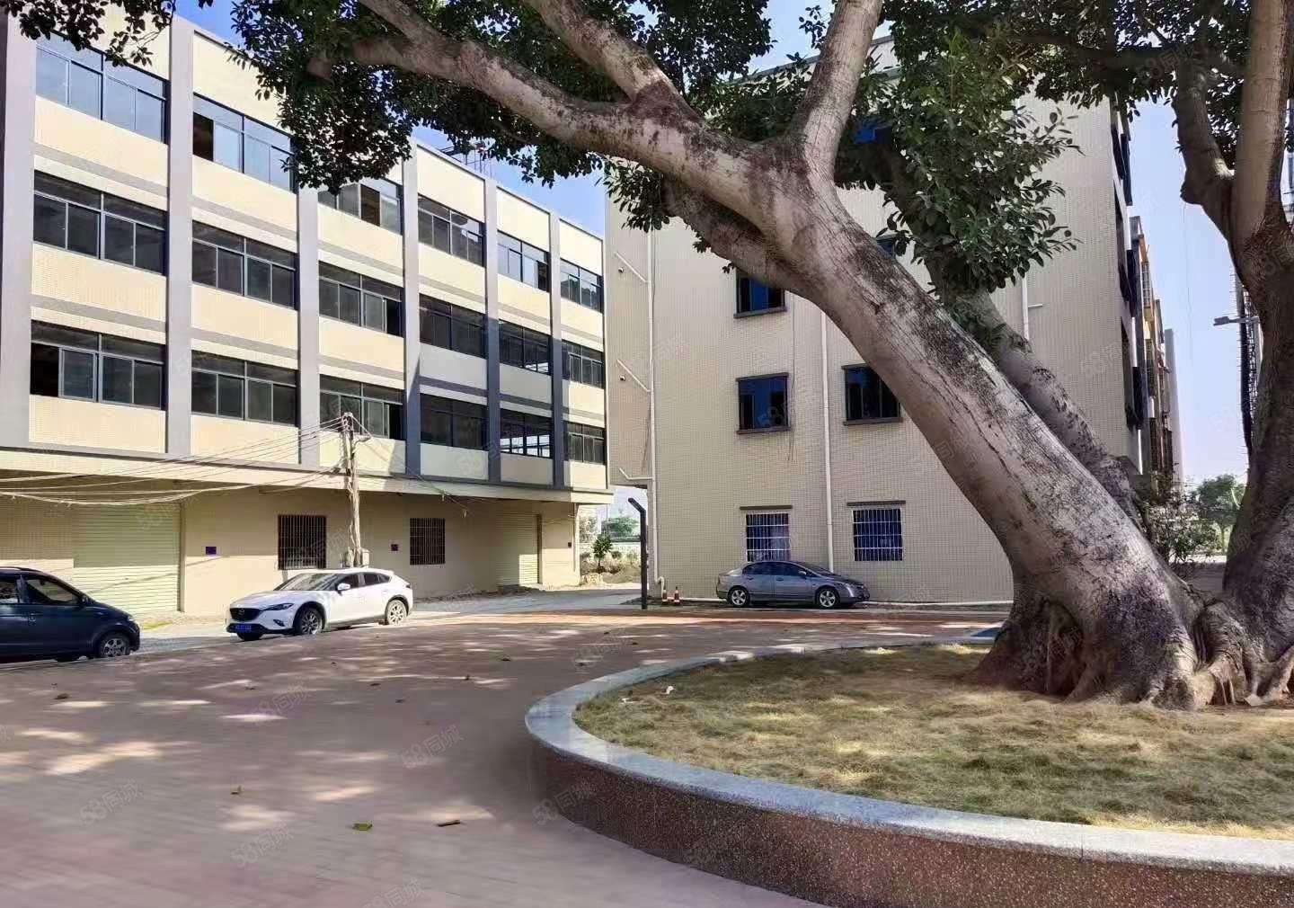 低价厂房出租！寮步上屯原房东厂房2200平，水电齐全，带装修