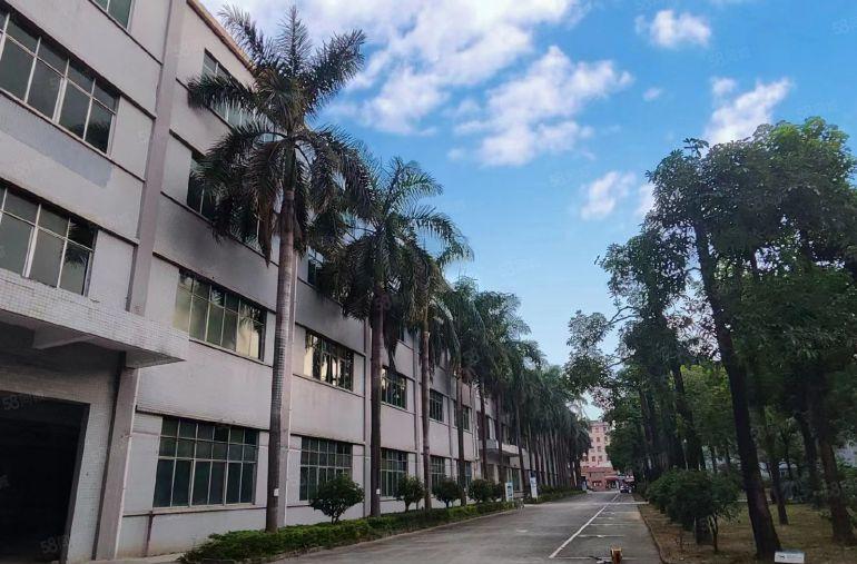 寮步原房东花园式独门独院68000平方厂房出租，有红本