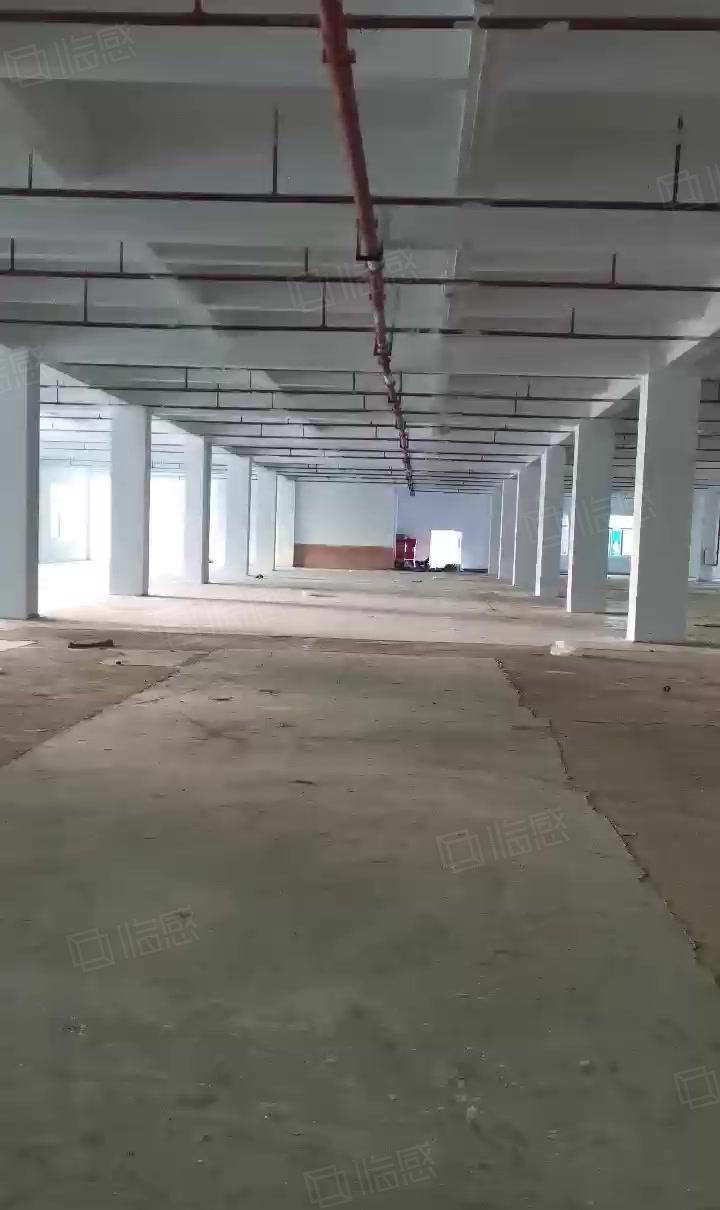 寮步泉塘低价厂房出租精装修交通方便形象好