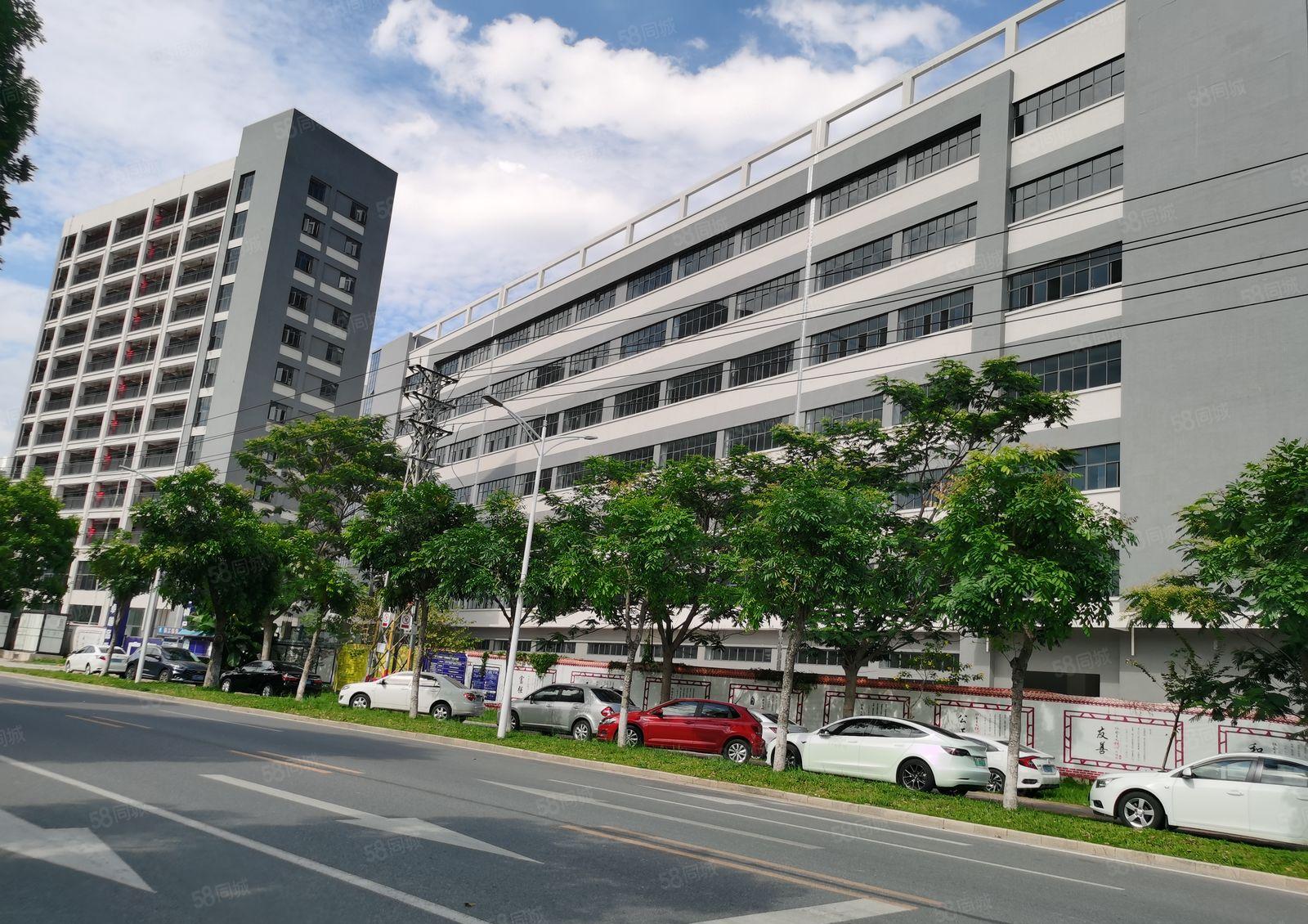 寮步镇靠近松山湖原房东9.5万红本独门独院厂房招租