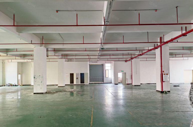 寮步镇原房东楼上1460方带装修低价出租