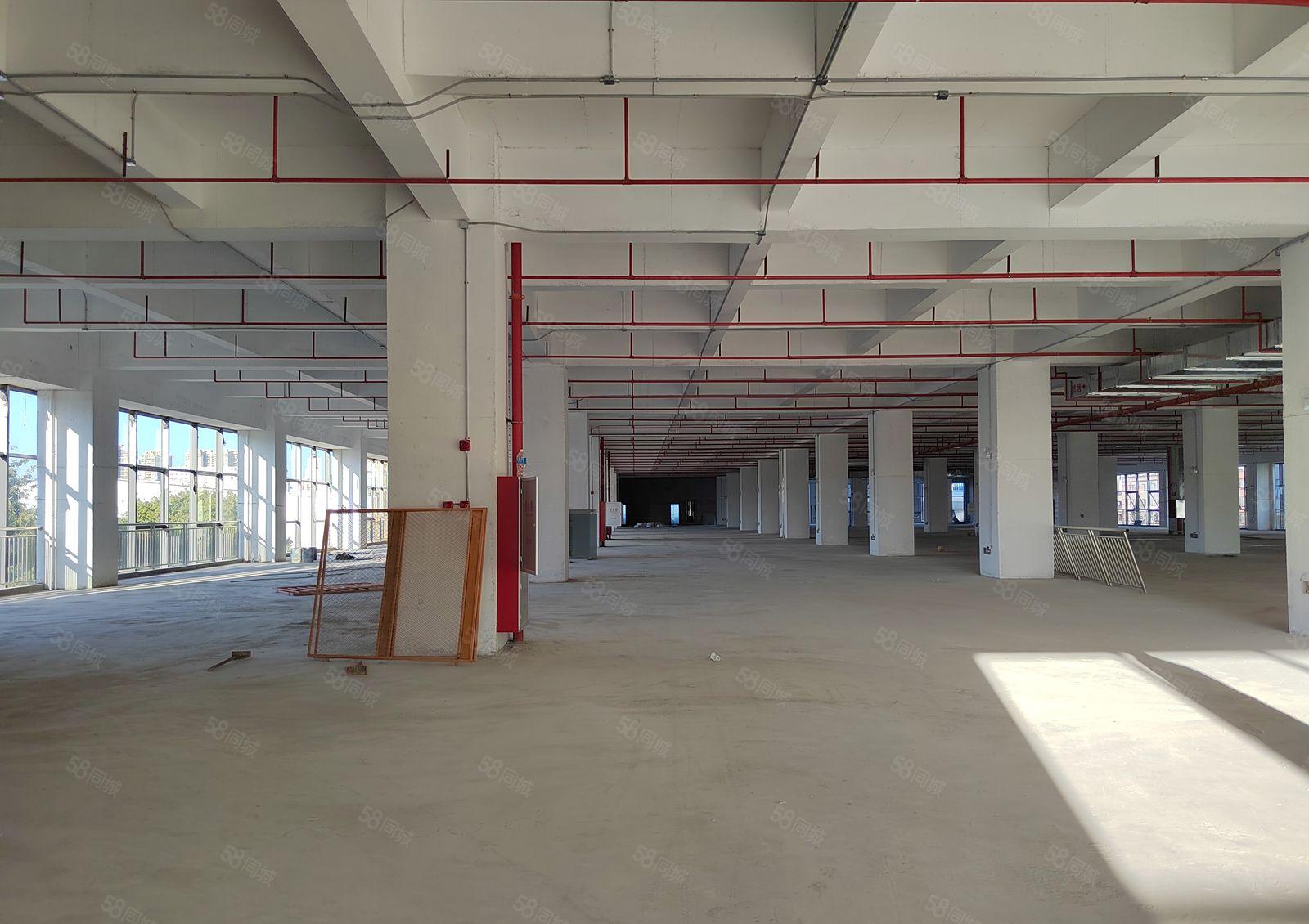 寮步靠近松山湖全新重工业园区78500平玻璃外墙大小可分租