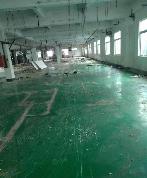 寮步石步独院厂房出租2000平方，原房东