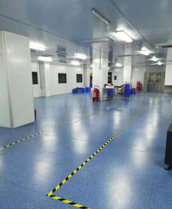 寮步镇药勒新出精装十万级无尘车间带十四部天花空调厂房出租