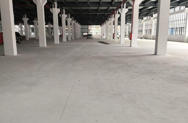 寮步镇原房东独院钢钩厂房出租，带消防喷淋，可办环评，无公摊