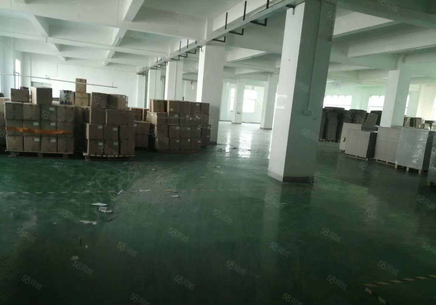 寮步向西原房东厂房1760平，靠近大马路，水电齐全