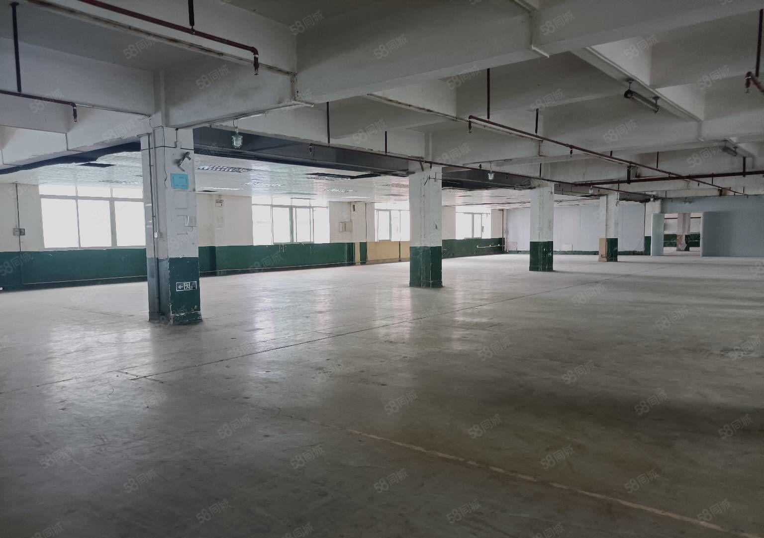 寮步百业五金电子新空出独门独院标准厂房11800平，