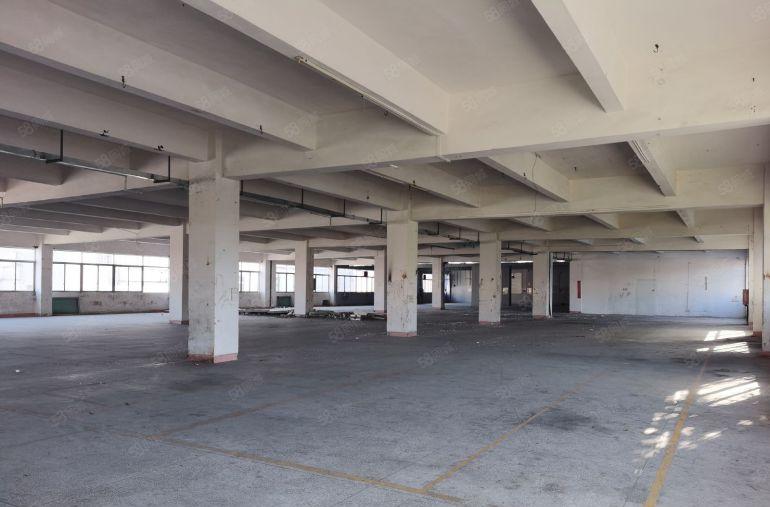 寮步原房东独院厂房出租5000平米形象好租金14元每平米