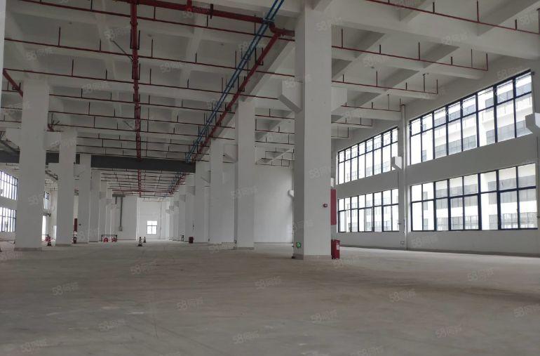 东莞城区2万平方（可分租）全新红本独栋厂房低价出租，近高速口