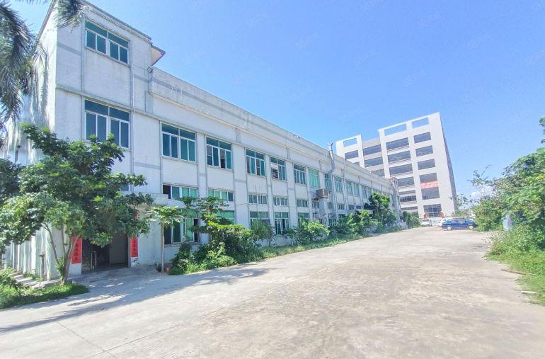 出租原房东独院空地2000红本双证适合仓库注塑五金变压器过户